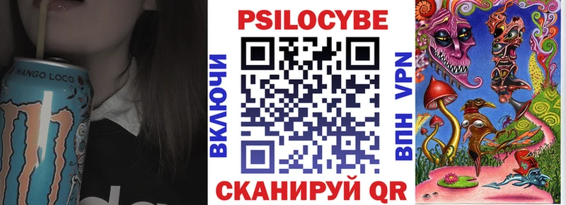 Купить  Судогда  Галлюциногенные грибы Magic Shrooms 